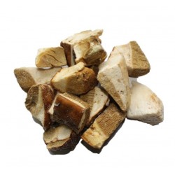 BOLETUS EDULIS CUBO SALSA CONG